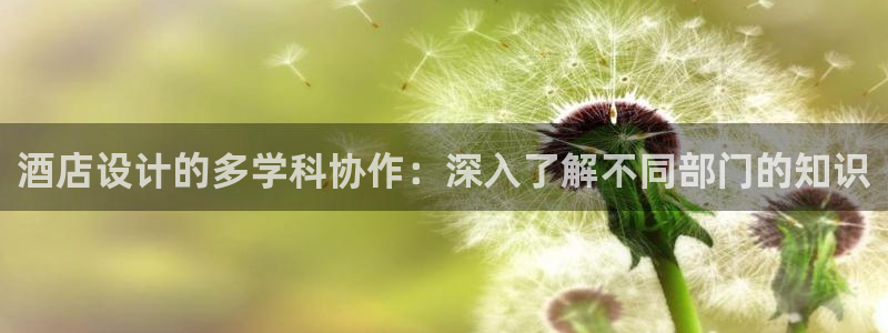 凯发k8网站是多少